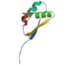 Ubiquitin Protein Ligase E3 Component N-Recognin 2 (UBR2)