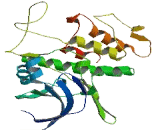 Unc-51 Like Kinase 2 (ULK2)