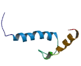 Upstream Transcription Factor 1 (USF1)