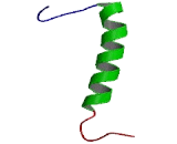 Urocortin 3 (UCN3)