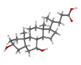 Ursodeoxycholic Acid (UDCA)
