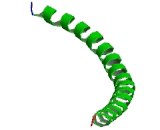 V-Jun Sarcoma Virus 17 Oncogene Homolog (JUN)