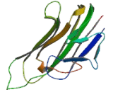 TNF Like Ligand 1A (TL1A)