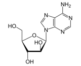 Vidarabine (VDB)