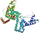 Vitamin D Binding Protein (DBP)