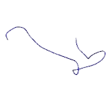 Wiskott Aldrich Syndrome Protein Family, Member 2 (WASF2)