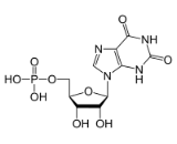 Xanthosine Monophosphate (XMP)