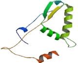 Xeroderma Pigmentosum, Complementation Group G (XPG)