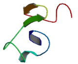 Zinc Finger, CCHC Domain Containing Protein 13 (ZCCHC13)