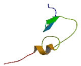 Zinc Finger, MYM-Type Protein 1 (ZMYM1)