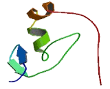 Zinc Finger, MYND-Type Containing Protein 10 (ZMYND10)