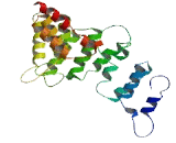 Zinc Finger, MYND-Type Containing Protein 12 (ZMYND12)