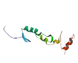 Zinc Finger Protein 295 (ZNF295)