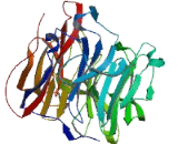 Zinc Finger Protein 416 (ZN<b>F416</b>)