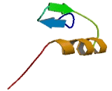 Zinc Finger Protein 460 (ZNF460)