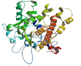 Zinc Finger Protein 518 (ZN<b>F518</b>)