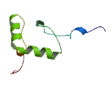 Zinc Finger Protein 593 (ZN<b>F593</b>)