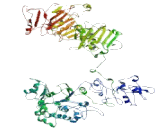 Zinc Finger Protein 644 (ZNF644)