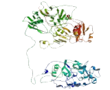 Zinc Finger Protein 831 (ZNF831)