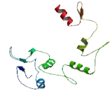 Zinc Finger Protein 840 (ZNF840)