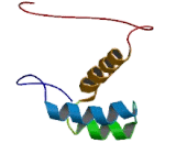 Zinc Fingers And Homeoboxes Protein 2 (ZHX2)