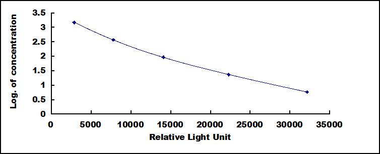 CCA462Ge.jpg