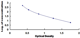 ELISA Kit for Endothelin 1 (EDN1)