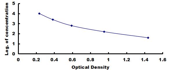 ELISA Kit for Cross Linked C-Telopeptide Of Type I Collagen (CTXI)