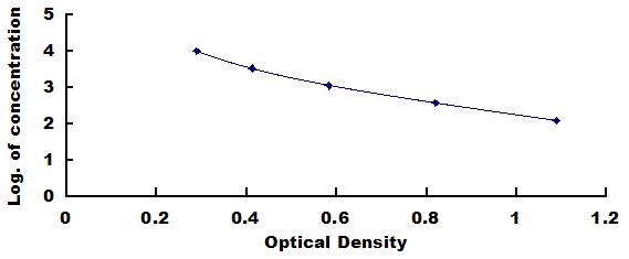 CED059Po.jpg