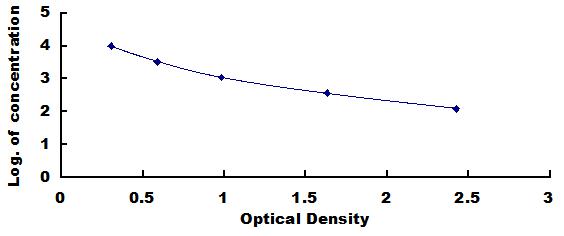 CEF293Ca.jpg