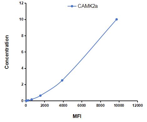 Multiplex Assay Kit for Calcium/Calmodulin Dependent Protein Kinase II Alpha (CAMK2a) ,etc. by CBA (Cytometric Bead Array)