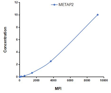 Multiplex Assay Kit for Methionyl Aminopeptidase 2 (METAP2) ,etc. by CBA (Cytometric Bead Array)
