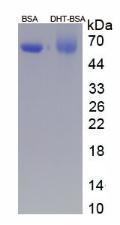 CPA443Ge11.jpg