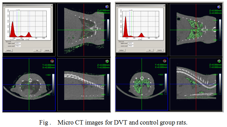 Rat Model for Venous Thromboembolism (VTE)