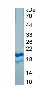 EPA033Bo61.jpg