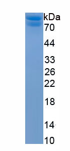 EPA601Ra61.jpg
