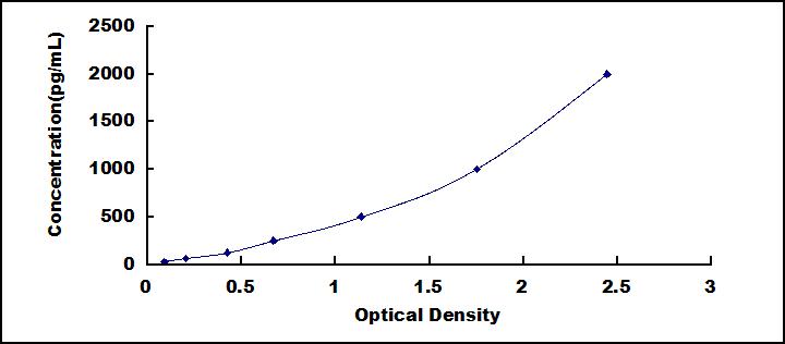 High Sensitive ELISA Kit for Matrix Metalloproteinase 13 (MMP13)