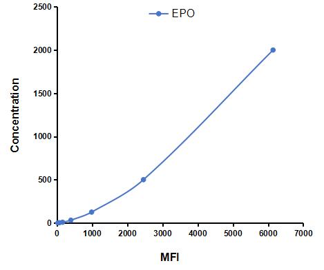 LMA028Eq.jpg