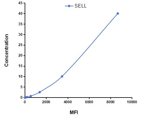 LMA086Mu.jpg