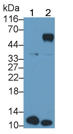 MAB792Ra21.jpg