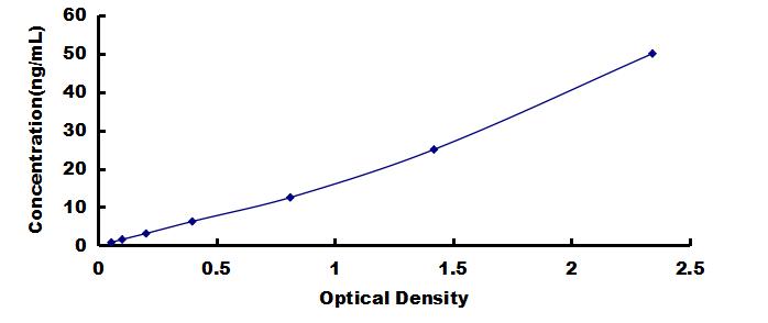 OneStep ELISA Kit for Ferritin, Light Polypeptide (FTL)