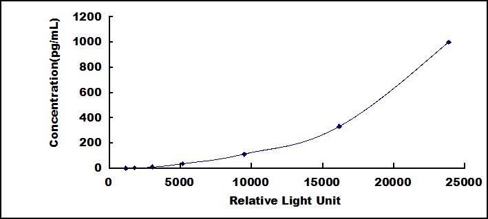 SCA010Hu.jpg