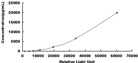 SCA037Bo.jpg