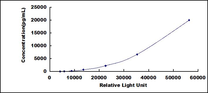 CLIA Kit for Matrix Metalloproteinase 13 (MMP13)