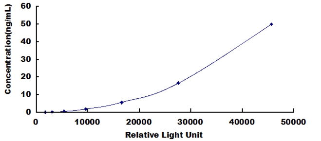 CLIA Kit for Matrix Metalloproteinase 13 (MMP13)