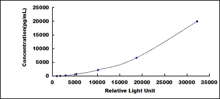 CLIA Kit for Fibrillin 1 (FBN1)