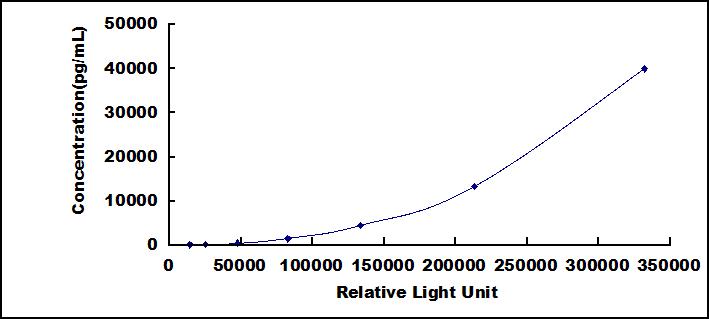 SCB985Hu.jpg