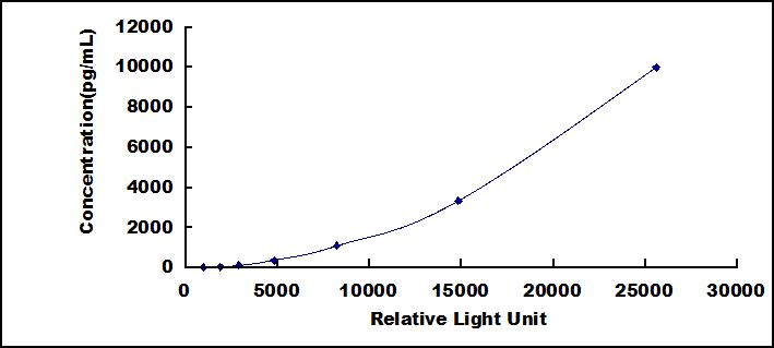 SCB986Hu.jpg