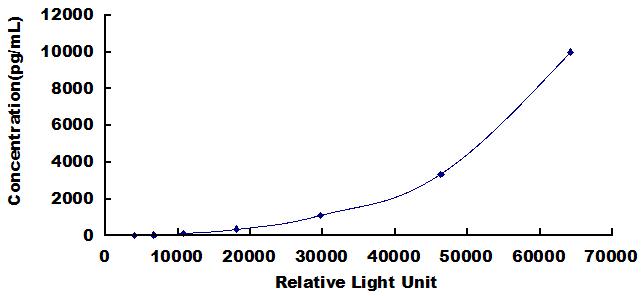 CLIA Kit for Growth Differentiation Factor 5 (GDF5)