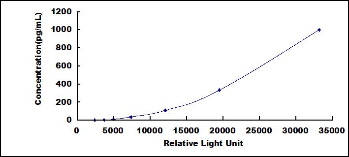 SCE038Hu.jpg